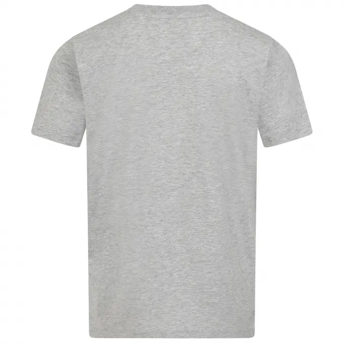 Wolverhampton Wanderers Shirt Store | Logo T-Shirt – Grey – Junior Collection Wolverhampton Wanderers Official Gear